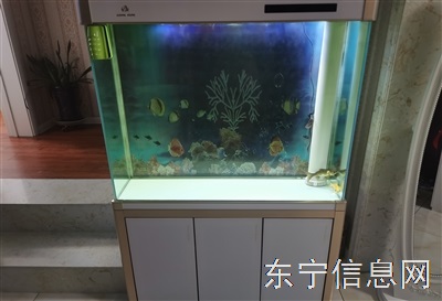 底滤鱼缸
