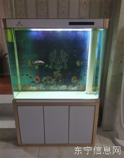底滤鱼缸