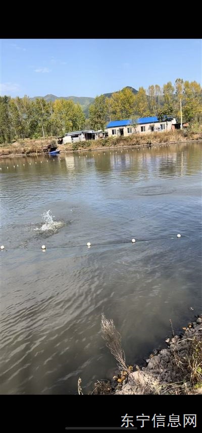 鱼池农家乐垂钓园三农直播基地对外出租(或谈合作)
