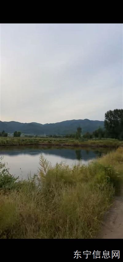 鱼池农家乐垂钓园三农直播基地对外出租(或谈合作)