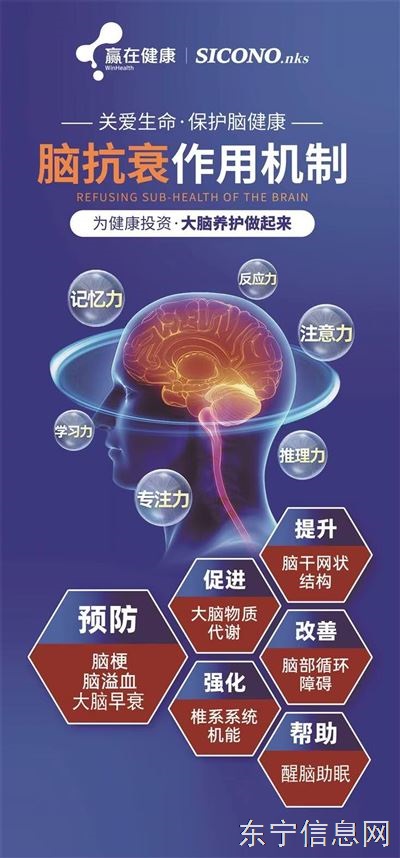 脑抗衰预防脑梗脑血栓