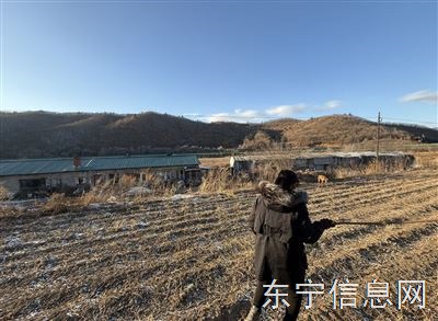 出租出售房屋土地大棚养殖鱼池