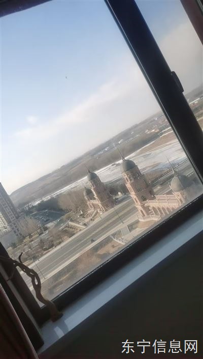 东方丽都十一出售