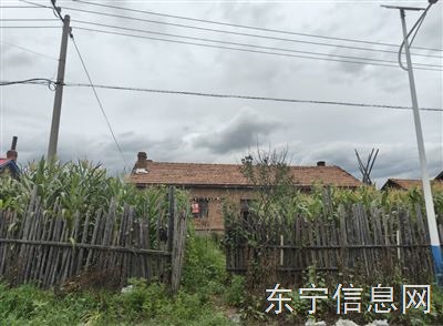 出售大城子国有房