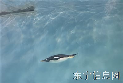 本人求职
