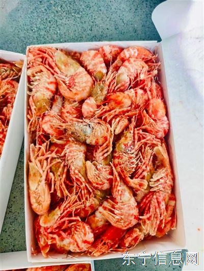 一手货源，冷库发货