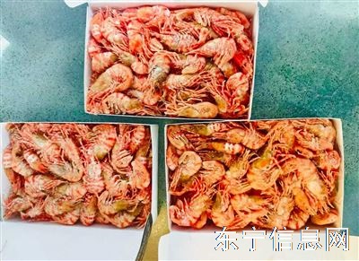 一手货源，冷库发货