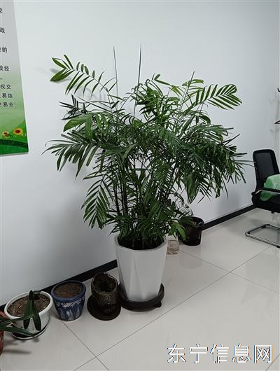 机关在职人员公考面试指导