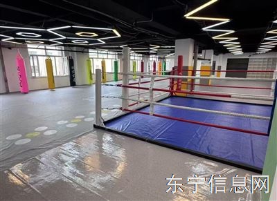 国武武道散打搏击