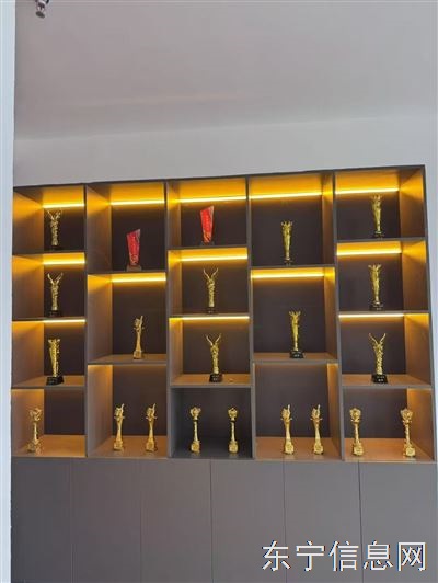 国武武道散打搏击