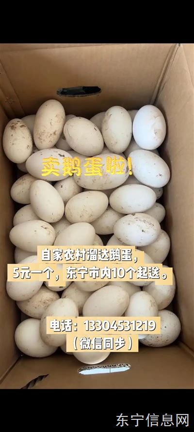 卖农村溜达鹅蛋