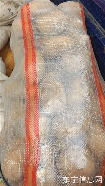 土豆20一袋50多斤